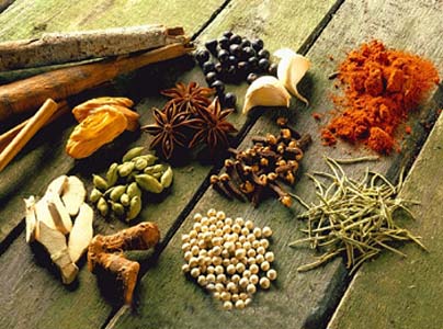indian spices picture